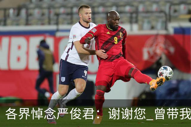 各界悼念严俊君：谢谢您 曾带我们“看世界”