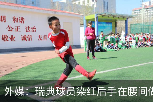 外媒：瑞典球员染红后手在腰间做不雅动作，可能被追加禁赛