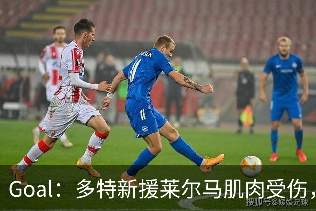 Goal：多特新援莱尔马肌肉受伤，复出时间未定